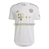 Original Fußballtrikot FC Bayern München Kimmich 6 Auswärtstrikot 2022-23 Für Herren